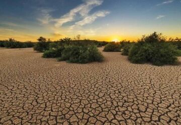 بیابان‌زدایی، راهی برای نجات منابع طبیعی
