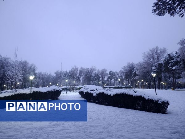 سفید مثل برف