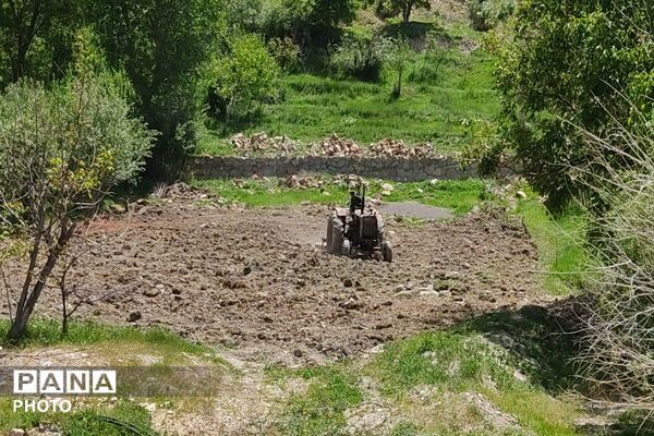حال و هوای شهر بار نیشابور در فصل زیبای بهار