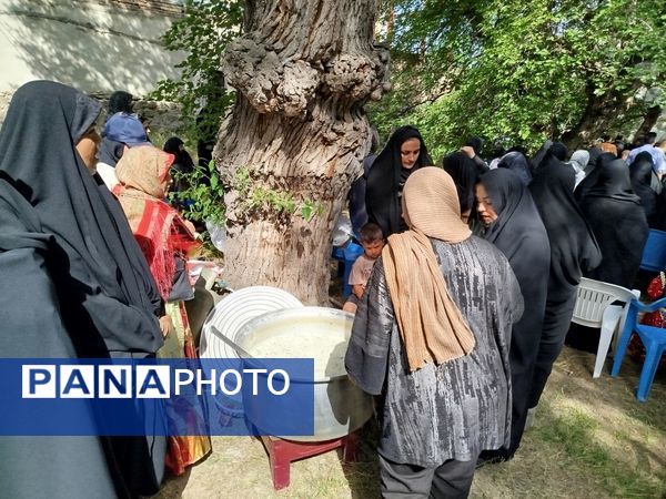 جشنواره توت سفید در هوراند