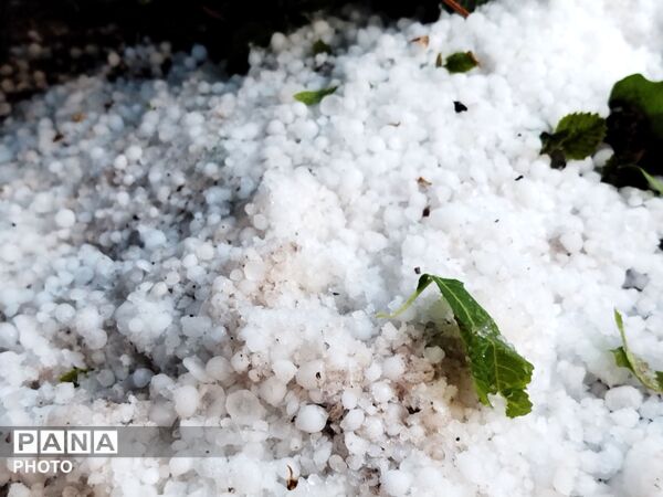بارش رحمت الهی همراه با تگرگ در شهرستان نیشابور 