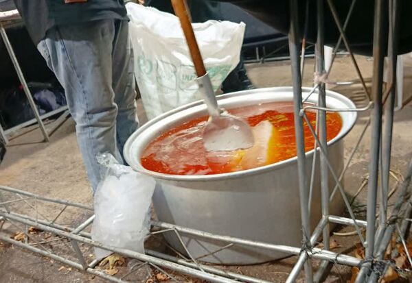 برپایی موکب دختران بصیرا در بجنورد 