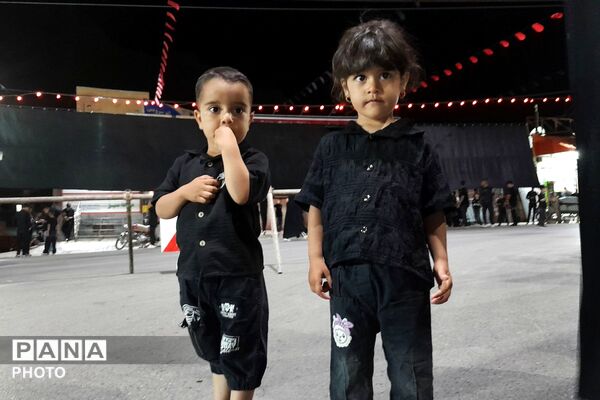 از کربلا تا ایران؛ عزاداران حسینی با پرچم ایران، پیام وحدت و استقامت را فریاد زدند