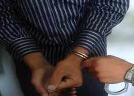 دستگیری سارق خودرو در کمتر از 3 ساعت در "بیرجند"