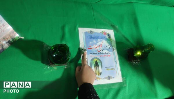 موکب نایب شهید میزبان خادمان رضوی بود