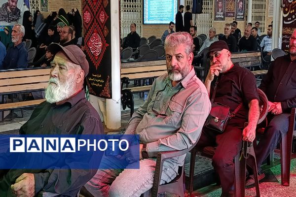 عشق و ارادت مردم شهرستان ملارد به امام رضا (ع) به روایت تصویر