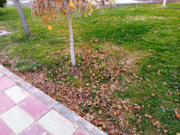 طبیعت زیبای کاشمر در پاییز