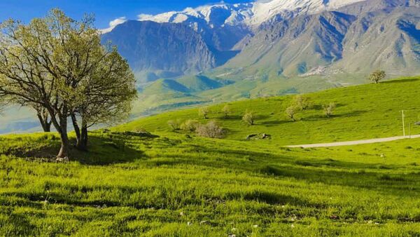 طبیعت روستای بارز، طبیعتی زیبا در دل استان چهارمحال‌وبختیاری 