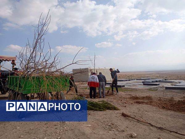 کاشت نهال در آرامستان روستای گزکوه