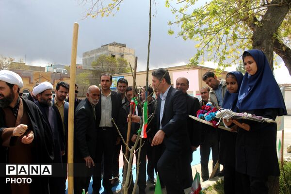 کاشت نهال همزمان با چهلمین روز شهادت فرشتگان میناب 