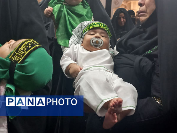 همایش شیرخوارگان حسینی(ع) در قم - 2