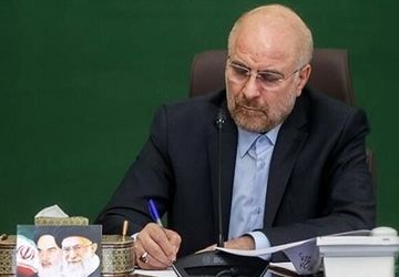 مجلس به‌دنبال تصویب طرح توقف همکاری با آژانس است