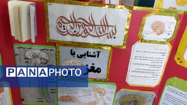 افتتاح نمایشگاه جابربن‌حیان در دبستان شهید احمدپور قائمشهر