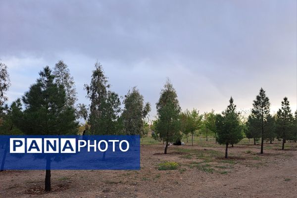 دورهمی روز طبیعت در پارک جنگلی پردیسان قم