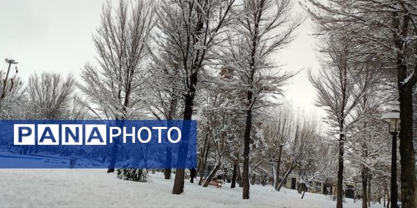 سکوت برفی بروجن، قلب شهر را به تپش انداخت