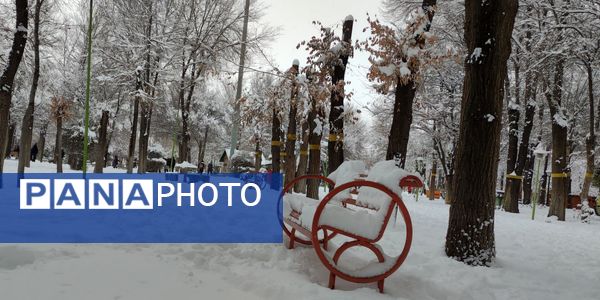 سکوت برفی بروجن، قلب شهر را به تپش انداخت