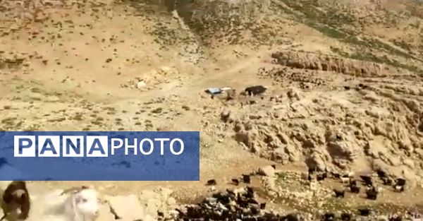  سرزمین عشق در دل سختی‌ها