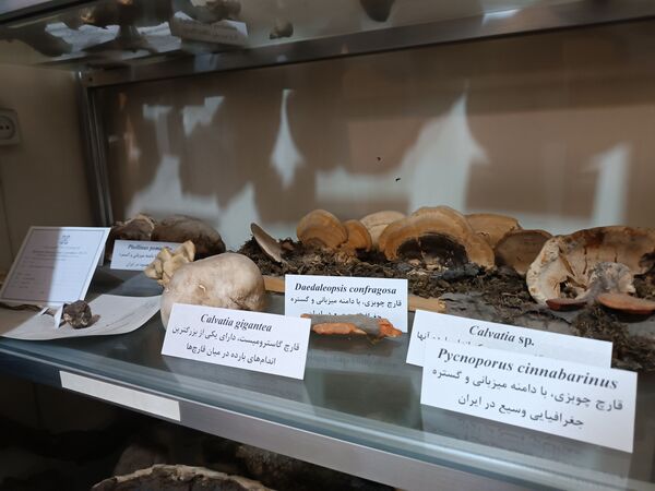 گام خبرنگاران در مسیر تنوع زیستی