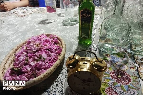 جشنواره گلاب گیری میناب با عطر شهدا 