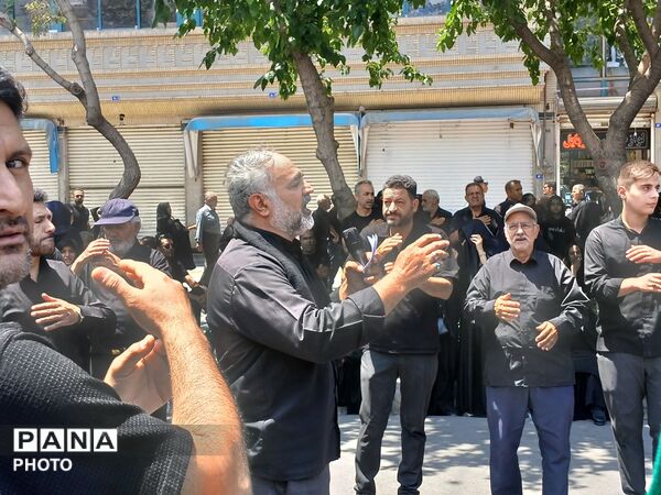 عاشورا؛ روایت دلدادگی در قاب اشک و ارادت 