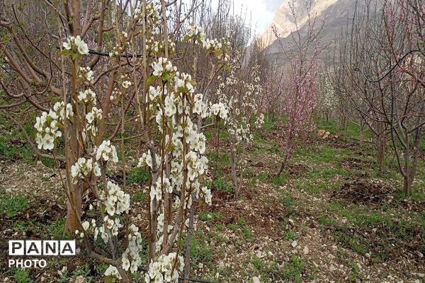 حال هوای شهر بار نیشابور بعد از بارش باران زیبا