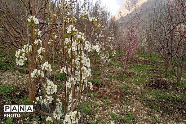 حال هوای شهر بار نیشابور بعد از بارش باران زیبا