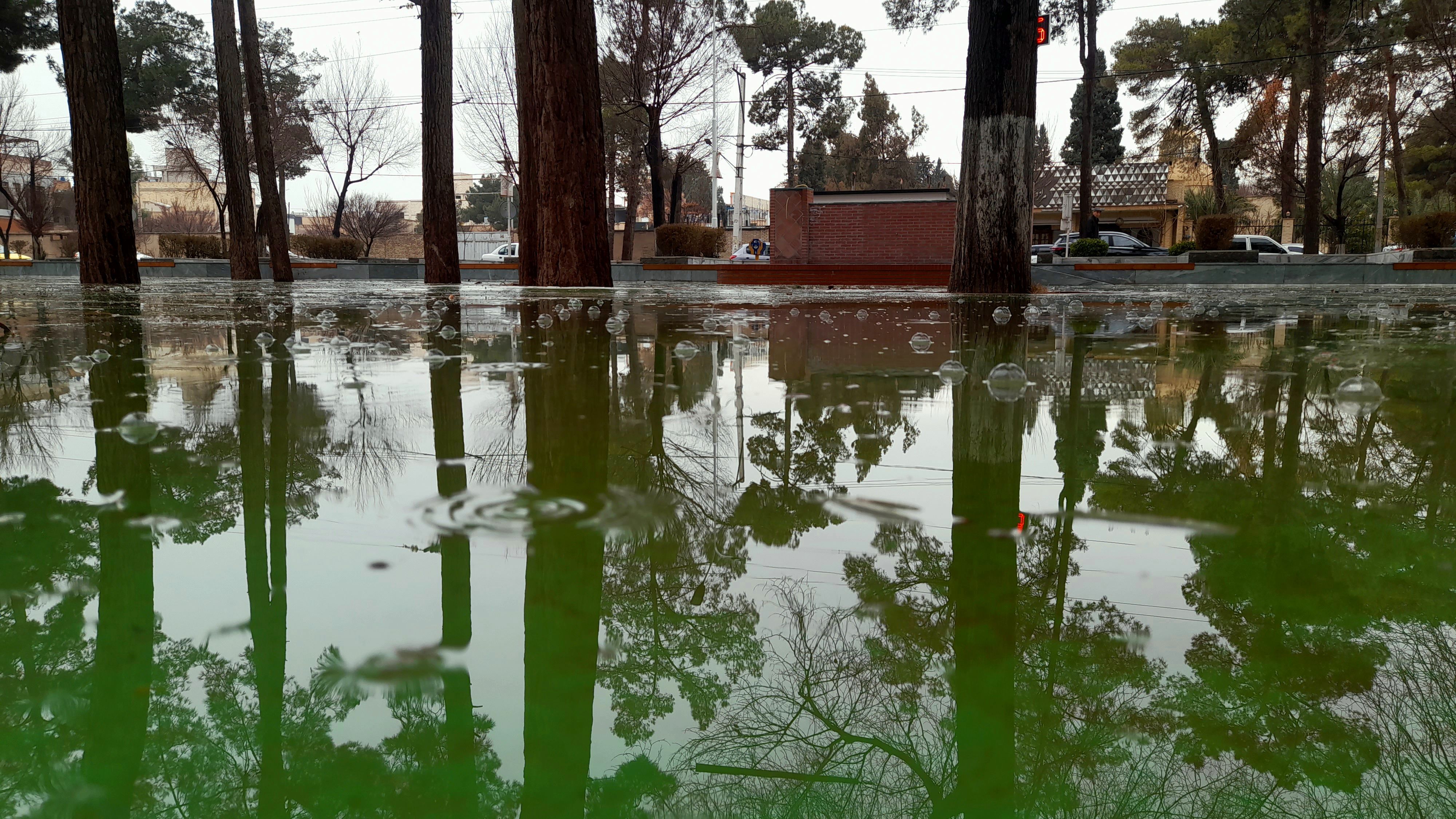 باران یزد؛ نوازشی بر پوست خاکی شهر و لبخندی بر لبان رهگذران