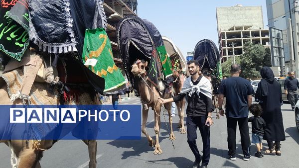 برگزاری تجمع یوم العباس در امامزاده حسن کرج