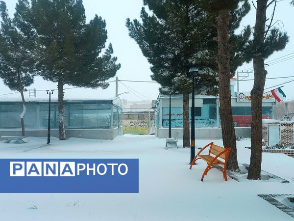 برف و بارانی همراه با شادی در شهرستان زاوه