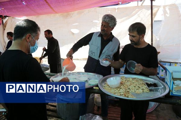 میلیون‌ها گام عاشقی؛ روایت حماسه اربعین حسینی از نجف تا کربلا