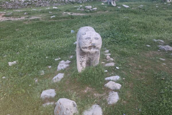 قبرستانی تاریخی و سرسبز به قدمت چند صد ساله در فارس