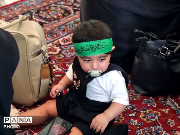 از گهواره تا کربلا؛ همایش شیرخوارگان حسینی در امامزاده کرار