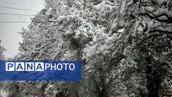 وقتی زمین زیر لحاف سفید برف به خواب میرود