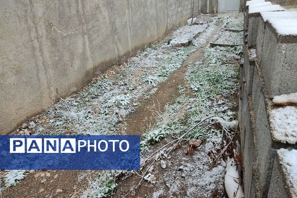 بارش باران و برف الهی در نوروز ۱۴۰۴ در شهر زیبای بار 