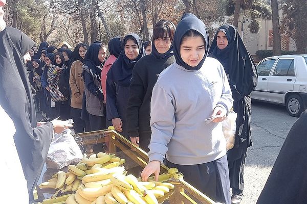 اردوی تشویقی تمشک؛ هدیه‌ای به یاوران انقلاب