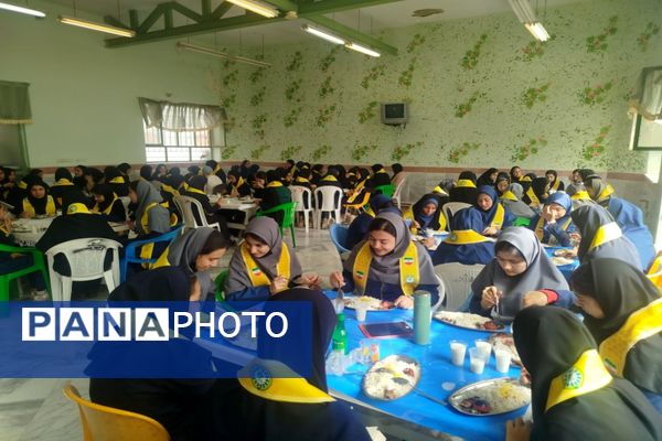 برگزاری اردوی تمشک در شهرستان فاروج 