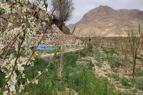 شهر بار نگین سبز خراسان رضوی میزبان فصل بهار 