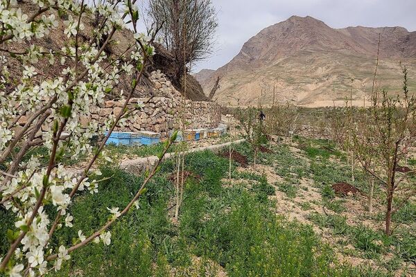 شهر بار نگین سبز خراسان رضوی میزبان فصل بهار 