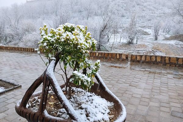 بارش باران و برف الهی در نوروز ۱۴۰۴ در شهر زیبای بار 