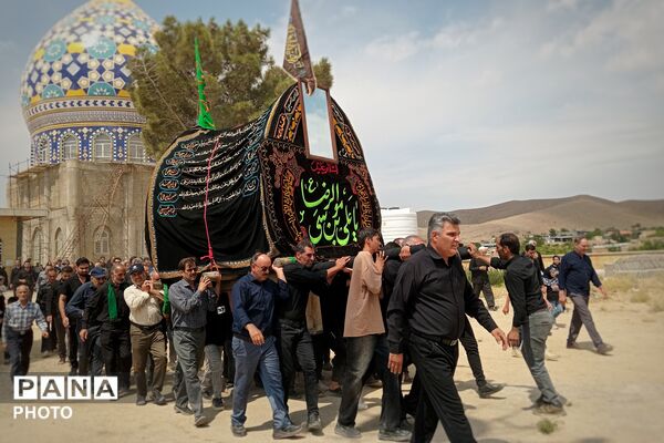 آیین سنتی نخل برداری در بنادکوک دیزه به مناسبت شهادت امام رضا (ع)