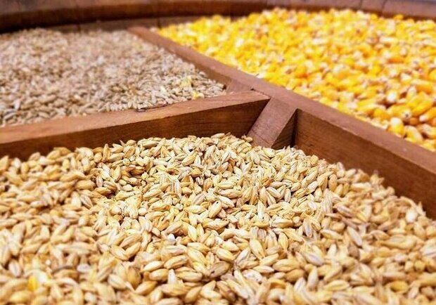 مرغداران نگران تأمین نهاده نباشند
