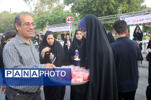 پیاده‌روی جاماندگان اربعین حسینی در بوشهر