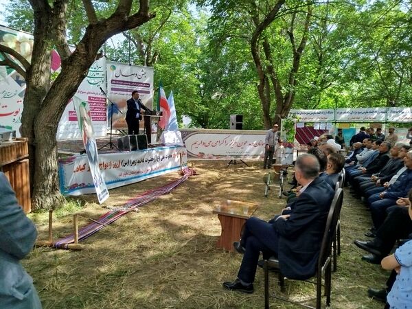 جشنواره توت سفید در هوراند
