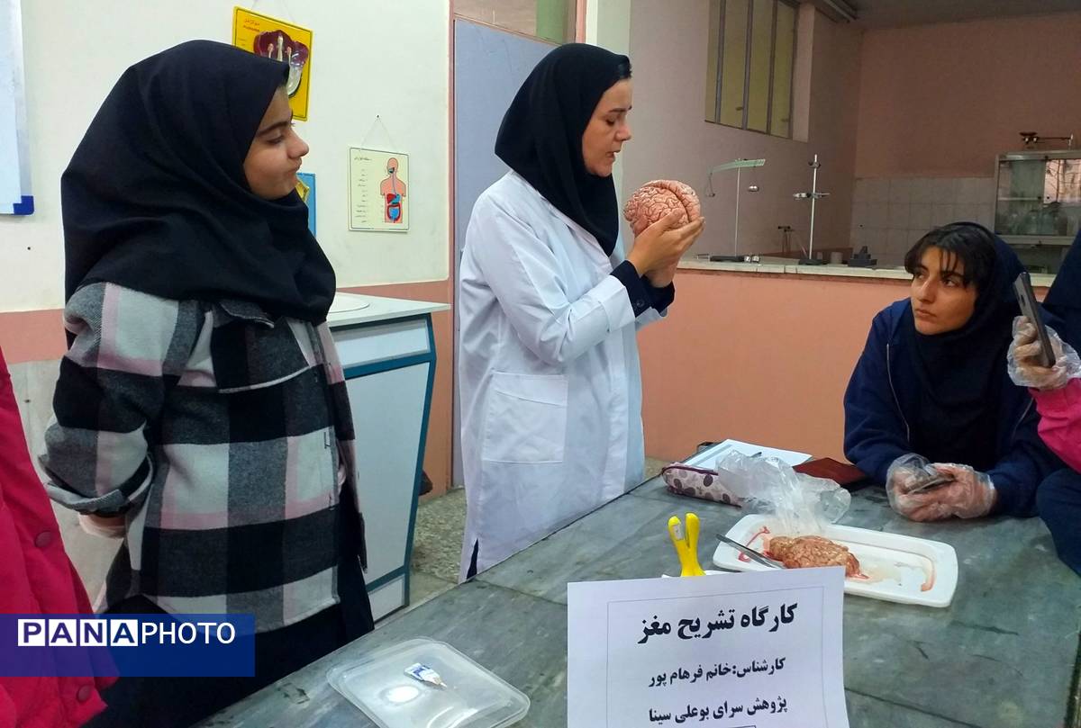 برگزاری کلاس آناتومی و تشریح مغز در پژوهش‌سرای بوعلی سینا ملارد