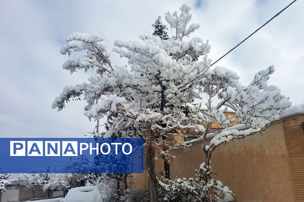 بارش برف شهرستان اقلید را سفید پوش کرد