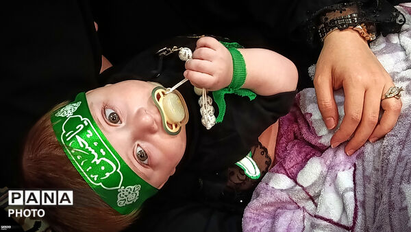 مصلی زنجان غرق در عطر علی‌اصغر(ع)