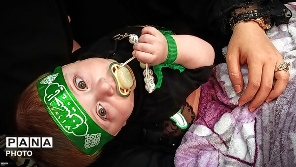 مصلی زنجان غرق در عطر علی‌اصغر(ع)