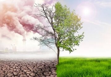 راهنمای عملی برای روزهای آلوده