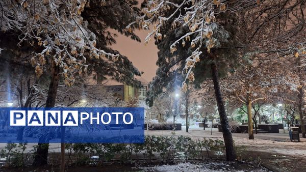 پارک‌های شهر مشهد در آغوش برف