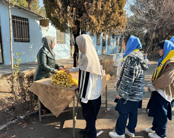 سفری هیجان انگیز به دنیایی تمشک با دختران ملارد 